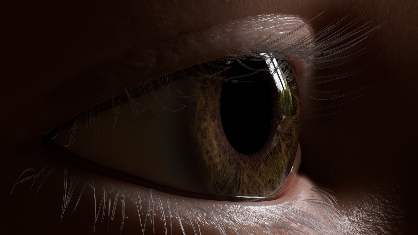 Closeup of a eye at a slight angle