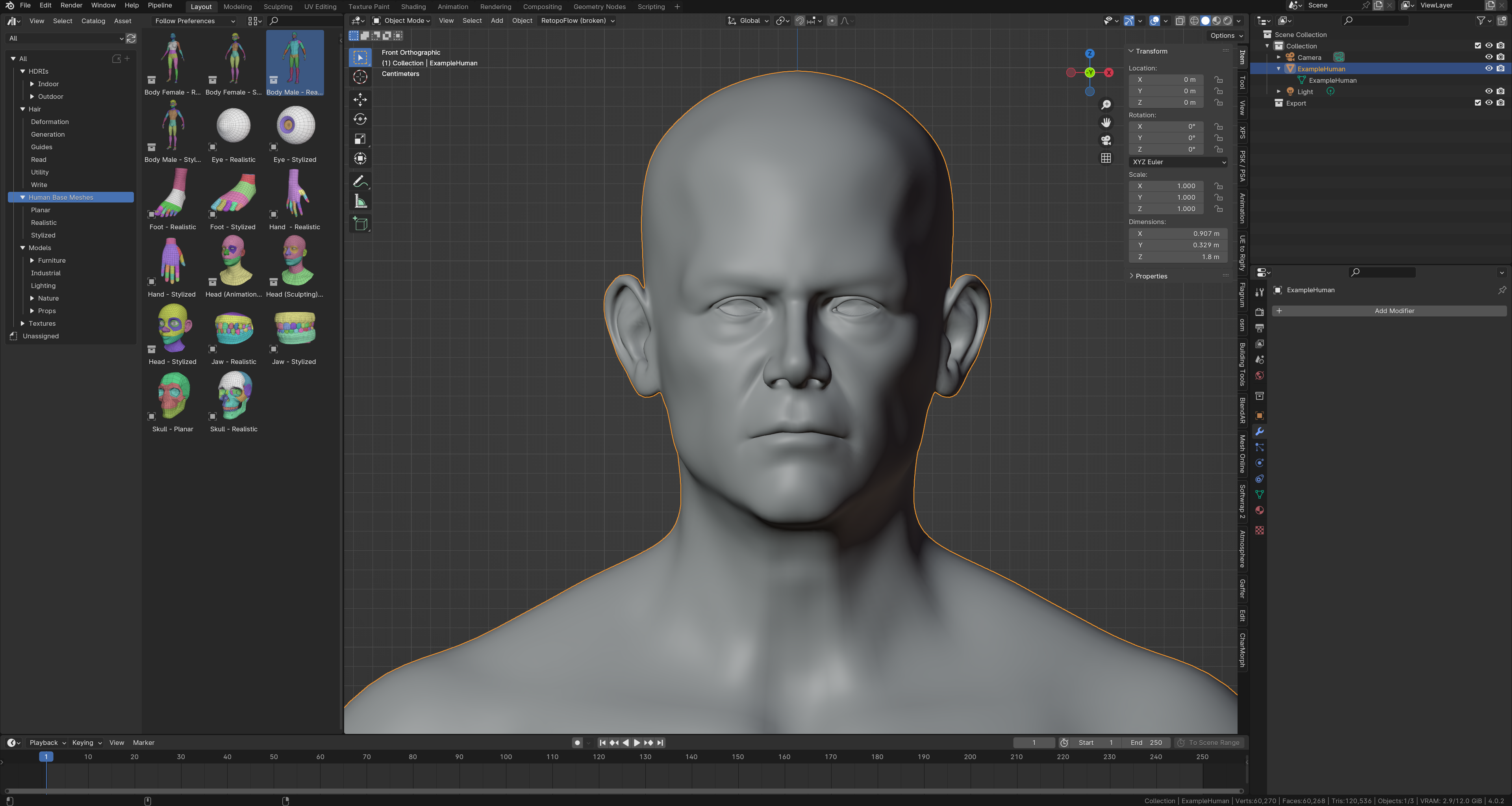 Image of Einar from Blender Studio's Human Base meshes without Eyes, Modifiers now applied and renamed.