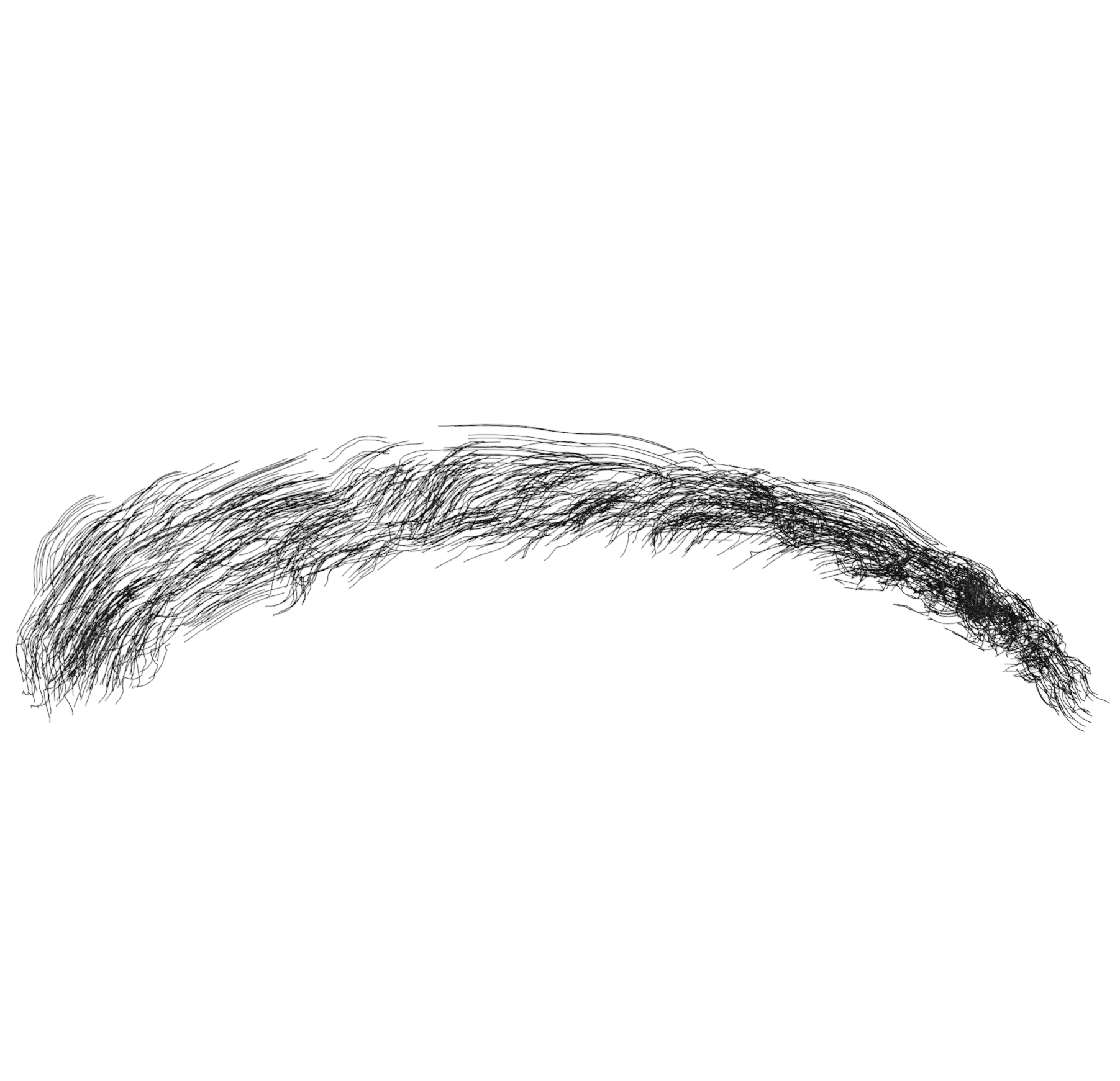 _images/Eyebrows001.png