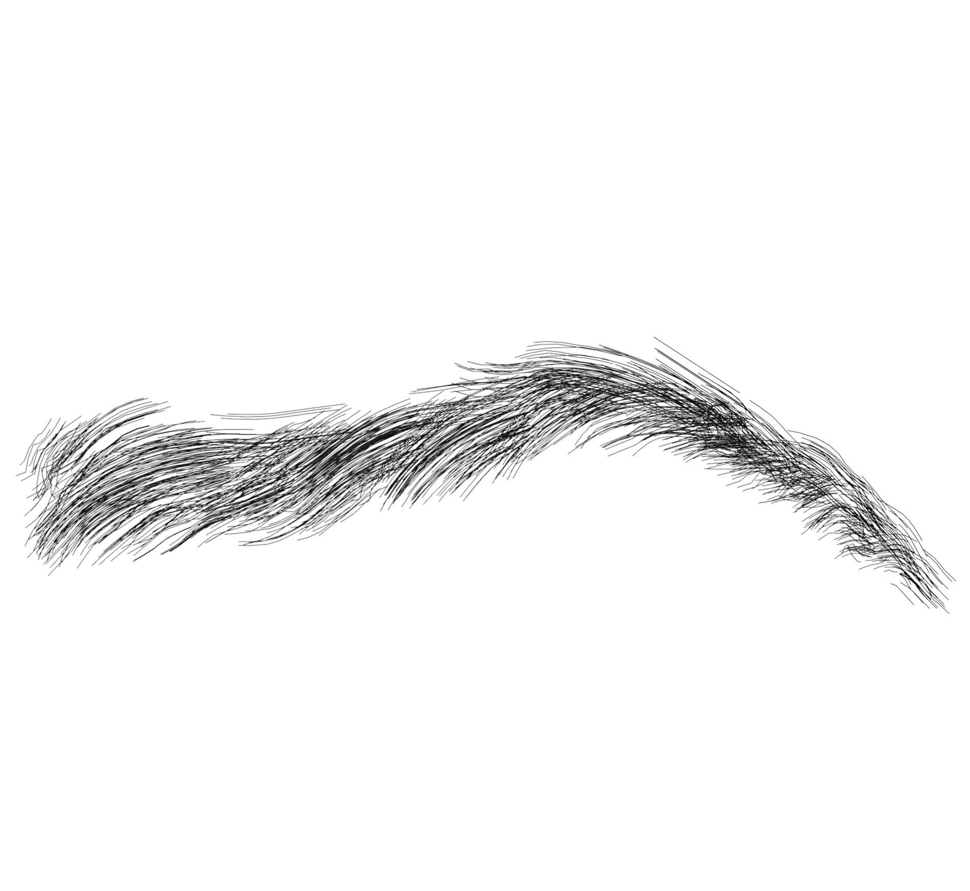 _images/Eyebrows003.png