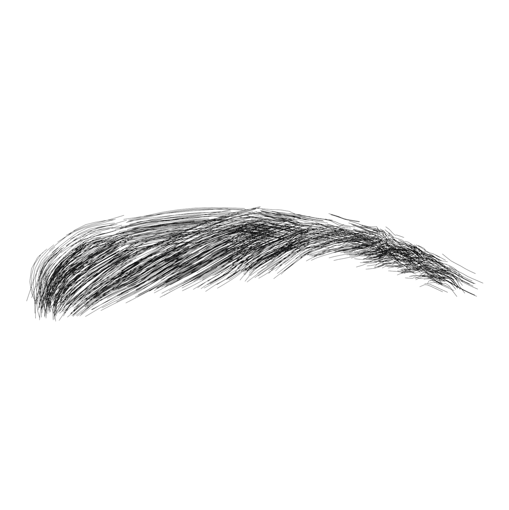 _images/Eyebrows008.png