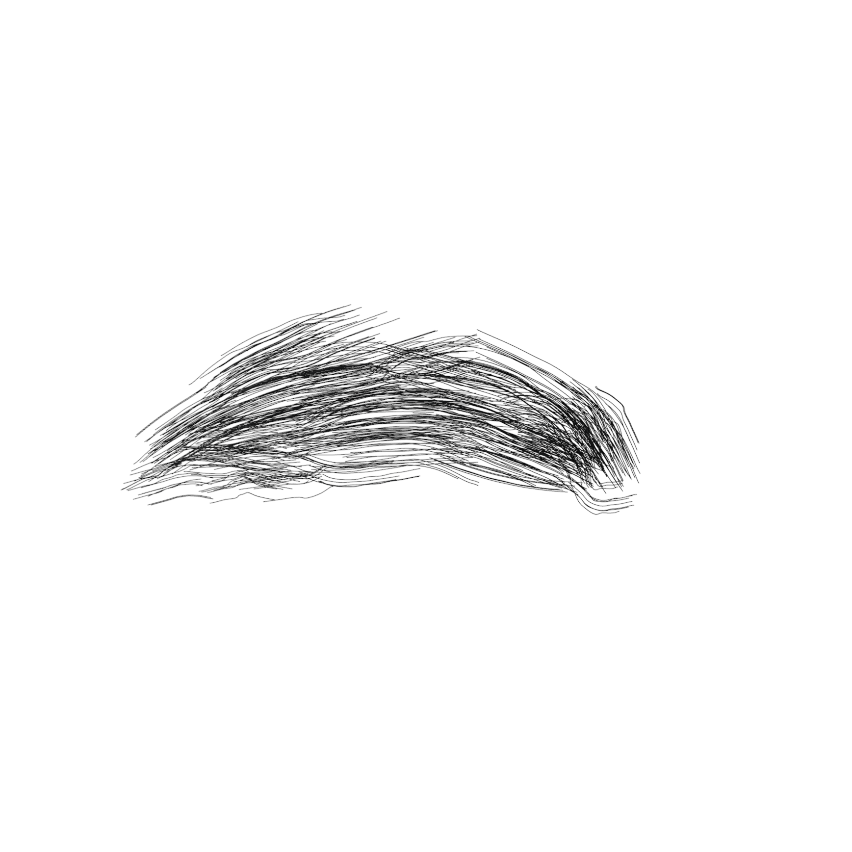 _images/Eyebrows009.png